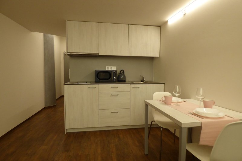 LOFTOVÝ BYT 2+KK CENTRUM