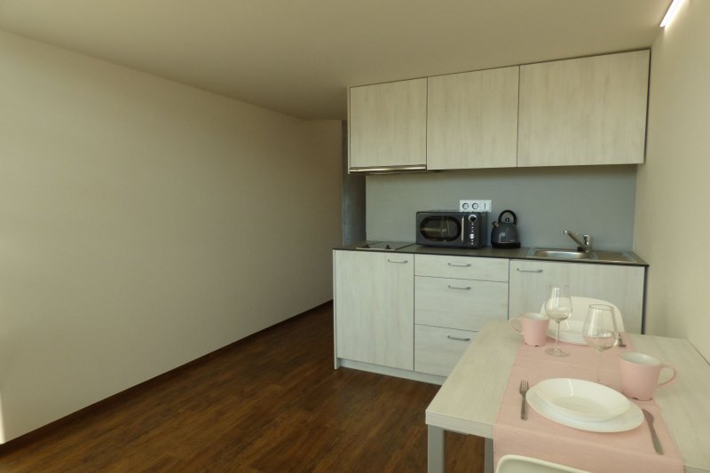 LOFTOVÝ BYT 2+KK CENTRUM