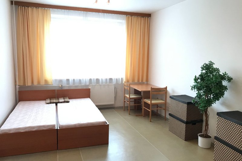 1+KK JAVOROVÁ ULICE