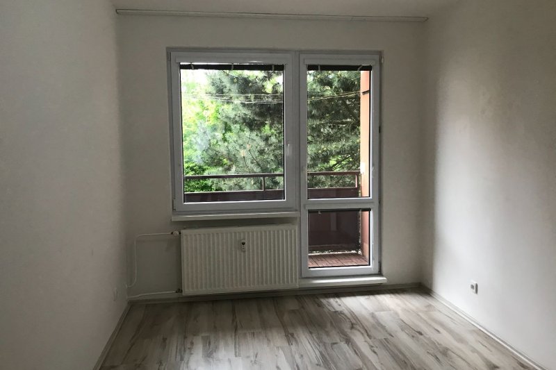 3+1 PO REKONSTRUKCI - PODLESÍ II.