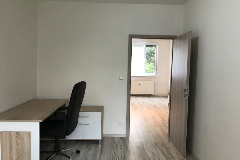 3+1 PO REKONSTRUKCI - PODLESÍ II.