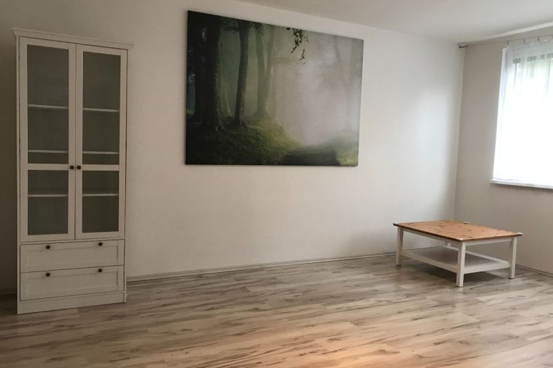 3+1 PO REKONSTRUKCI - PODLESÍ II.