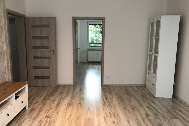 3+1 PO REKONSTRUKCI - PODLESÍ II.