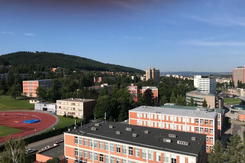 3+1 CENTRUM MĚSTA - OSVOBODITELŮ 