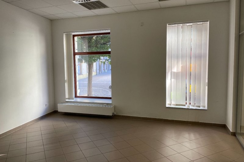 VÍCEÚČELOVÁ BUDOVA V CENTRU MĚSTA UH.HRADIŠTĚ