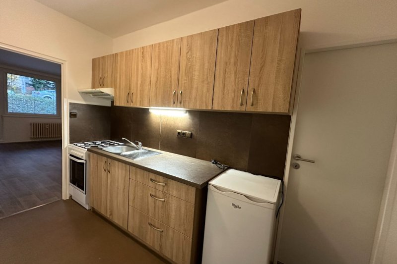 1+1 DRUŽSTEVNÍ ULICE S BALKONEM