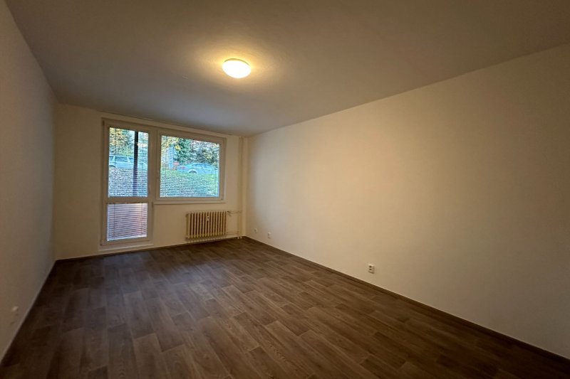1+1 DRUŽSTEVNÍ ULICE S BALKONEM