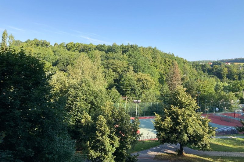 3+1 KŘIBY PO REKONSTRUKCI 