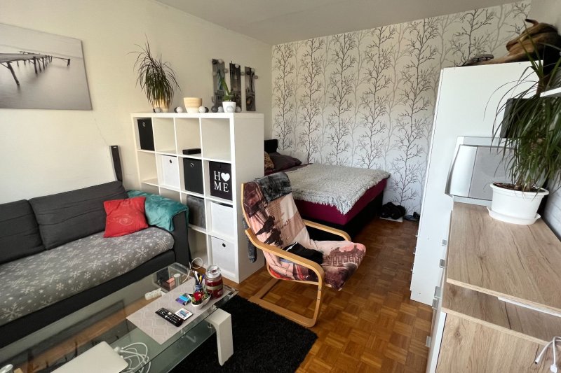 1+1 MLÝNSKÁ, MALENOVICE 