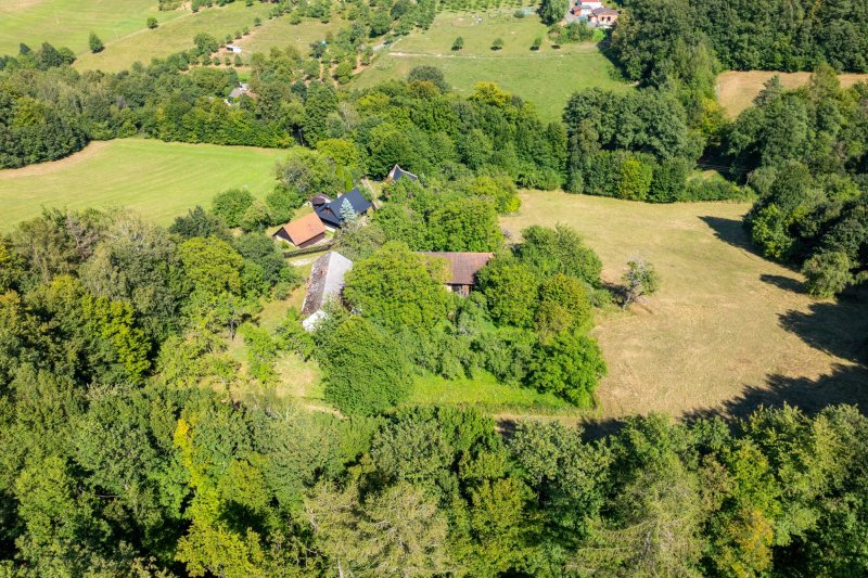 Usedlost Lipské Paseky, lesy a pozemky přes 70.000m2