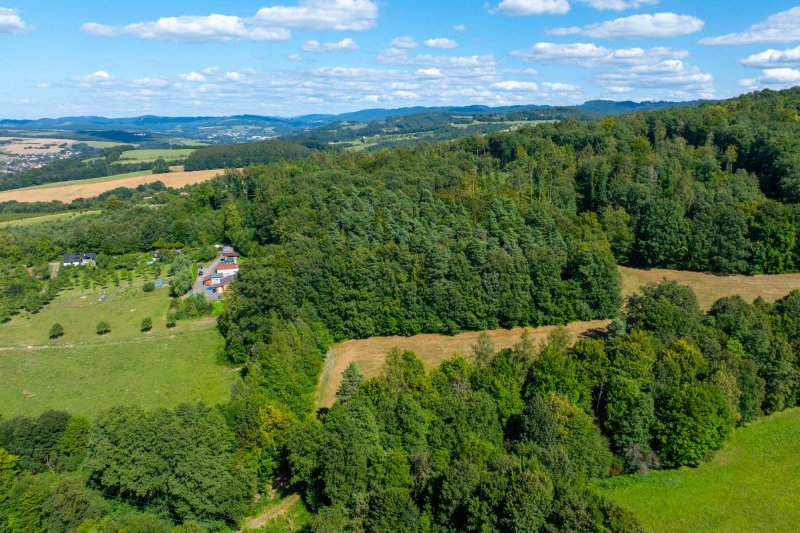 Usedlost Lipské Paseky, lesy a pozemky přes 70.000m2