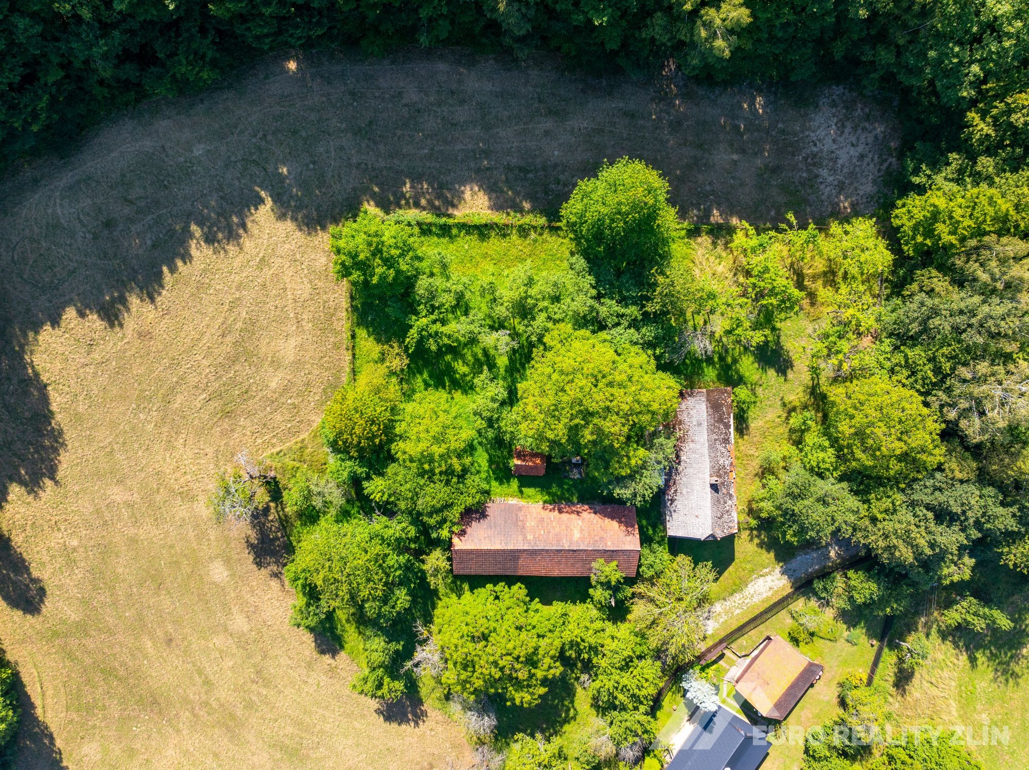 Usedlost Lipské Paseky, lesy a pozemky přes 70.000m2