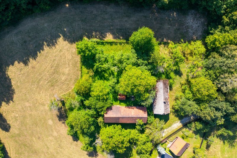 Usedlost Lipské Paseky, lesy a pozemky přes 70.000m2