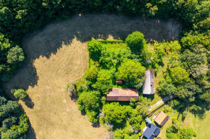 Usedlost Lipské Paseky, lesy a pozemky přes 70.000m2