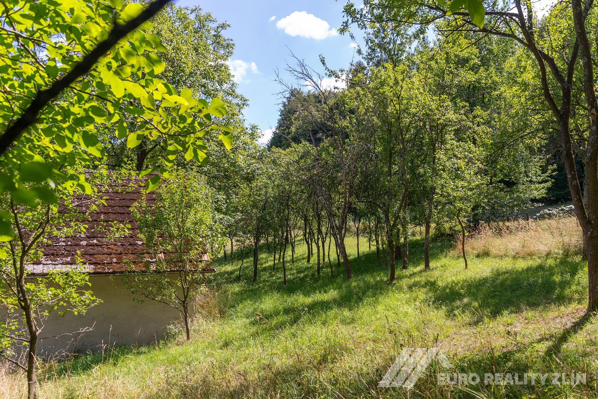 Usedlost Lipské Paseky, lesy a pozemky přes 70.000m2