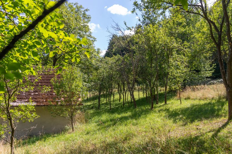 Usedlost Lipské Paseky, lesy a pozemky přes 70.000m2