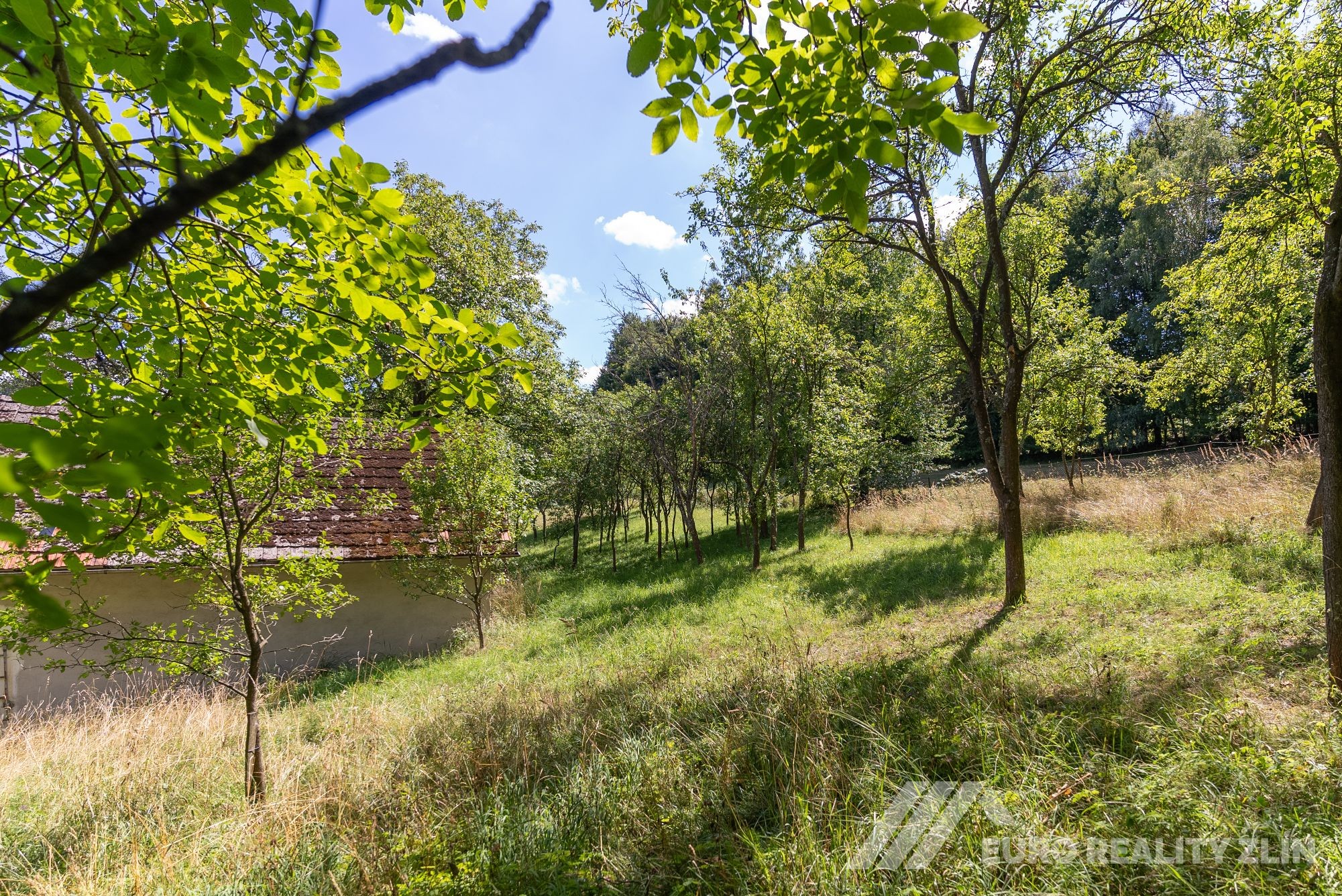 Usedlost Lipské Paseky, lesy a pozemky přes 70.000m2