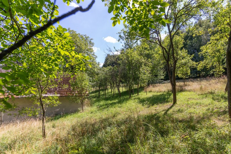 Usedlost Lipské Paseky, lesy a pozemky přes 70.000m2