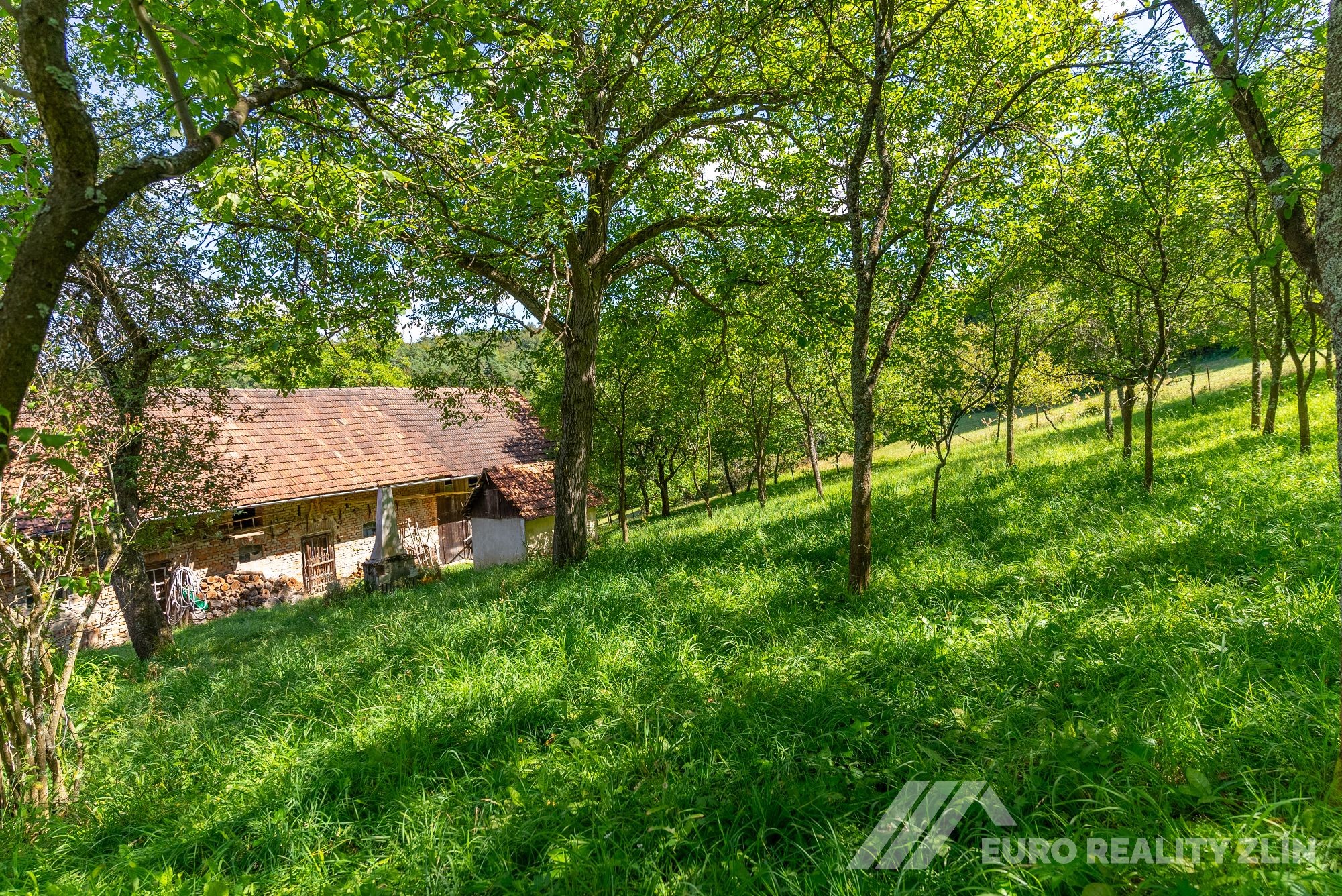Usedlost Lipské Paseky, lesy a pozemky přes 70.000m2