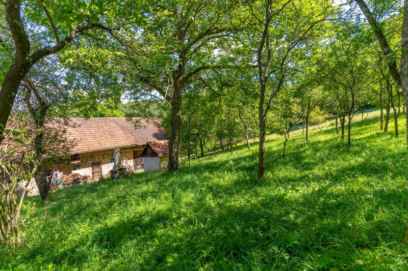 Usedlost Lipské Paseky, lesy a pozemky přes 70.000m2
