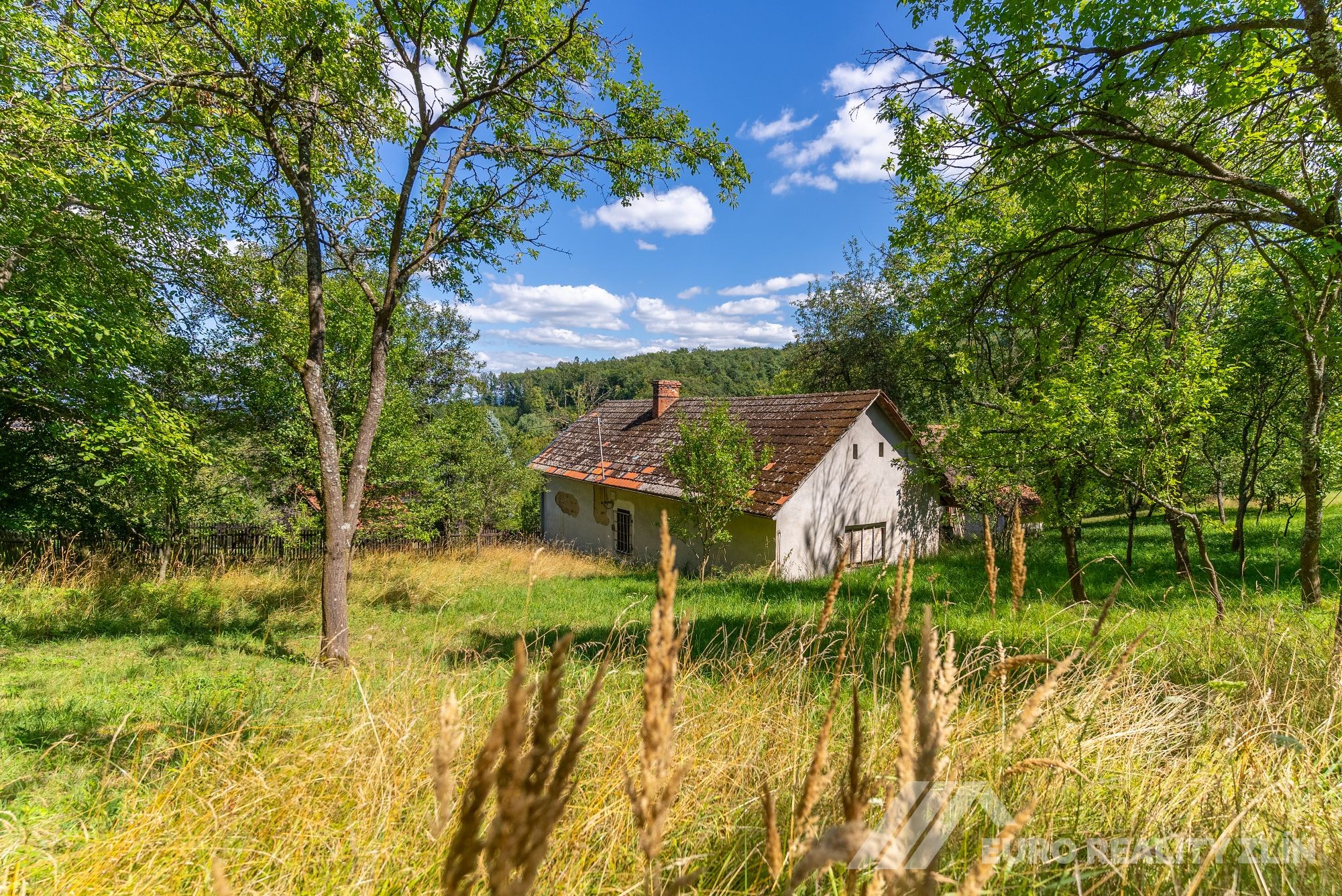 Usedlost Lipské Paseky, lesy a pozemky přes 70.000m2