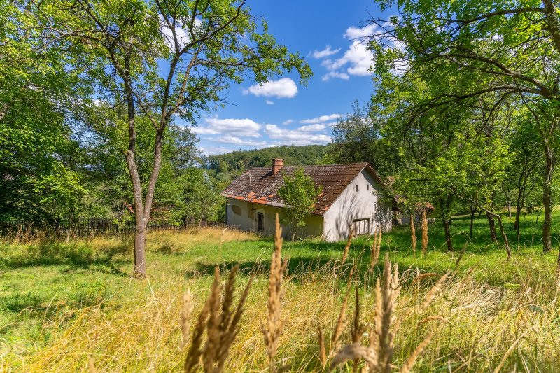 Usedlost Lipské Paseky, lesy a pozemky přes 70.000m2