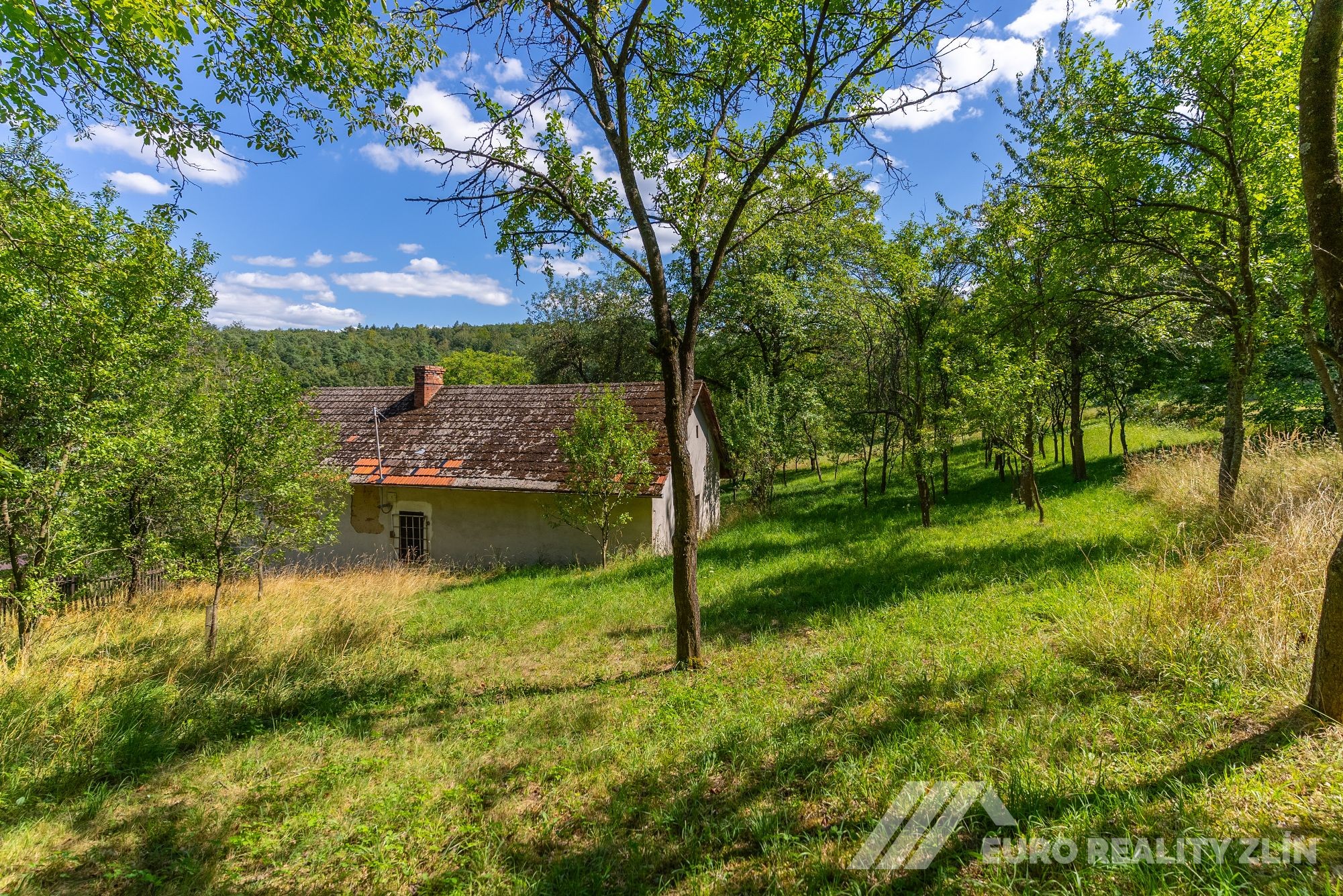 Usedlost Lipské Paseky, lesy a pozemky přes 70.000m2