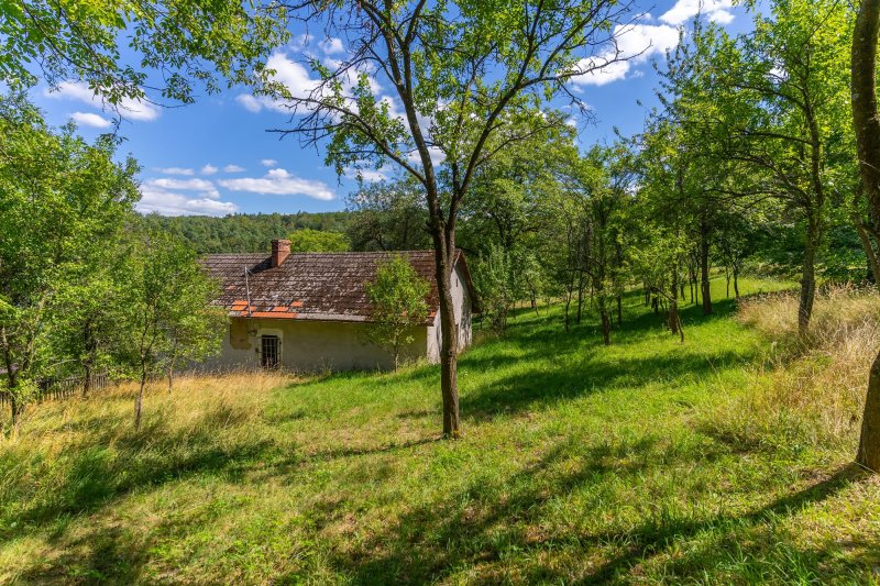 Usedlost Lipské Paseky, lesy a pozemky přes 70.000m2