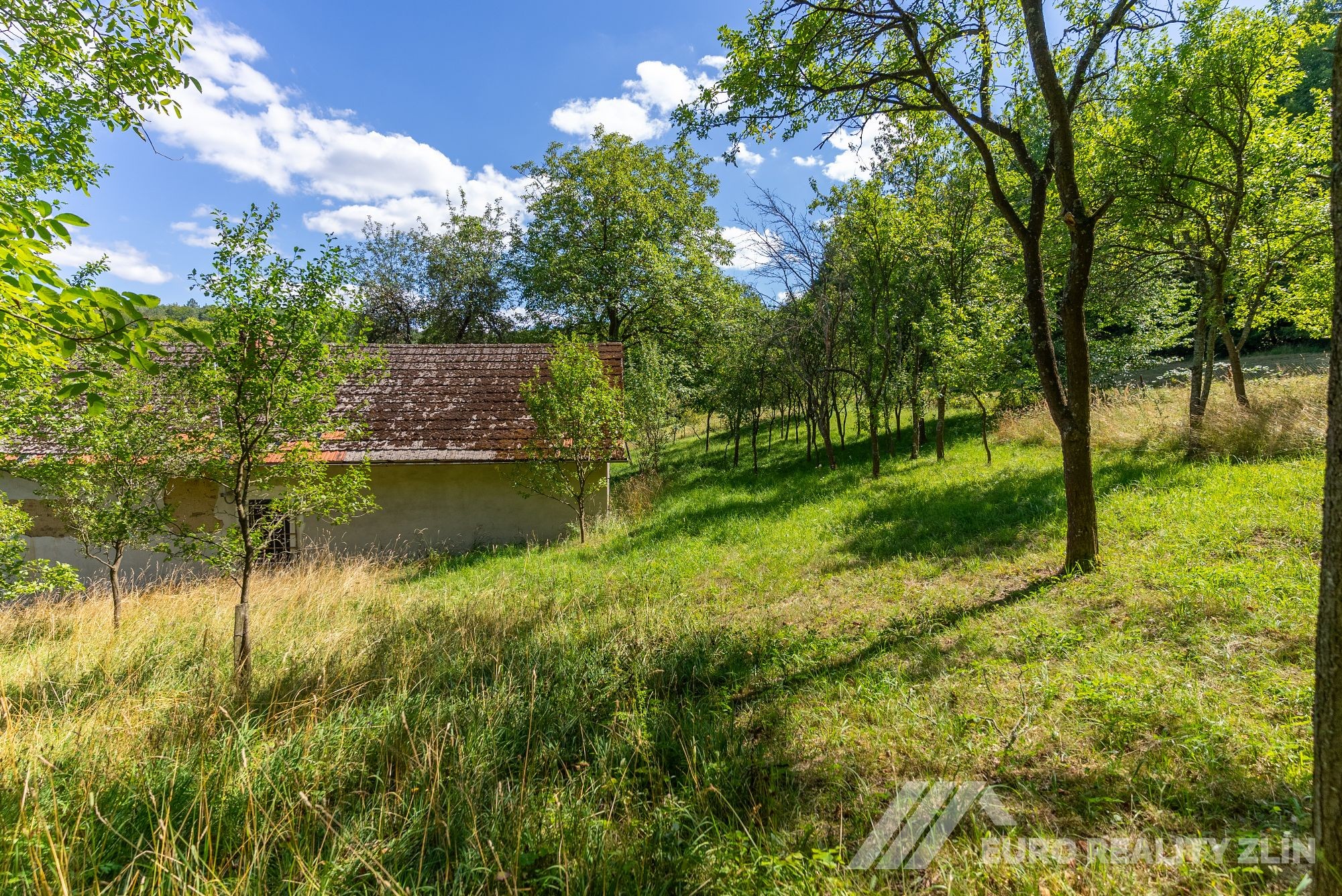 Usedlost Lipské Paseky, lesy a pozemky přes 70.000m2