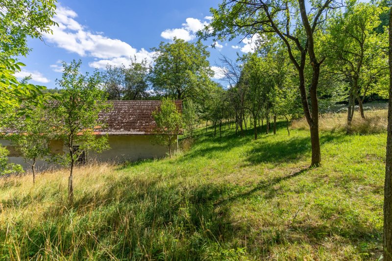 Usedlost Lipské Paseky, lesy a pozemky přes 70.000m2