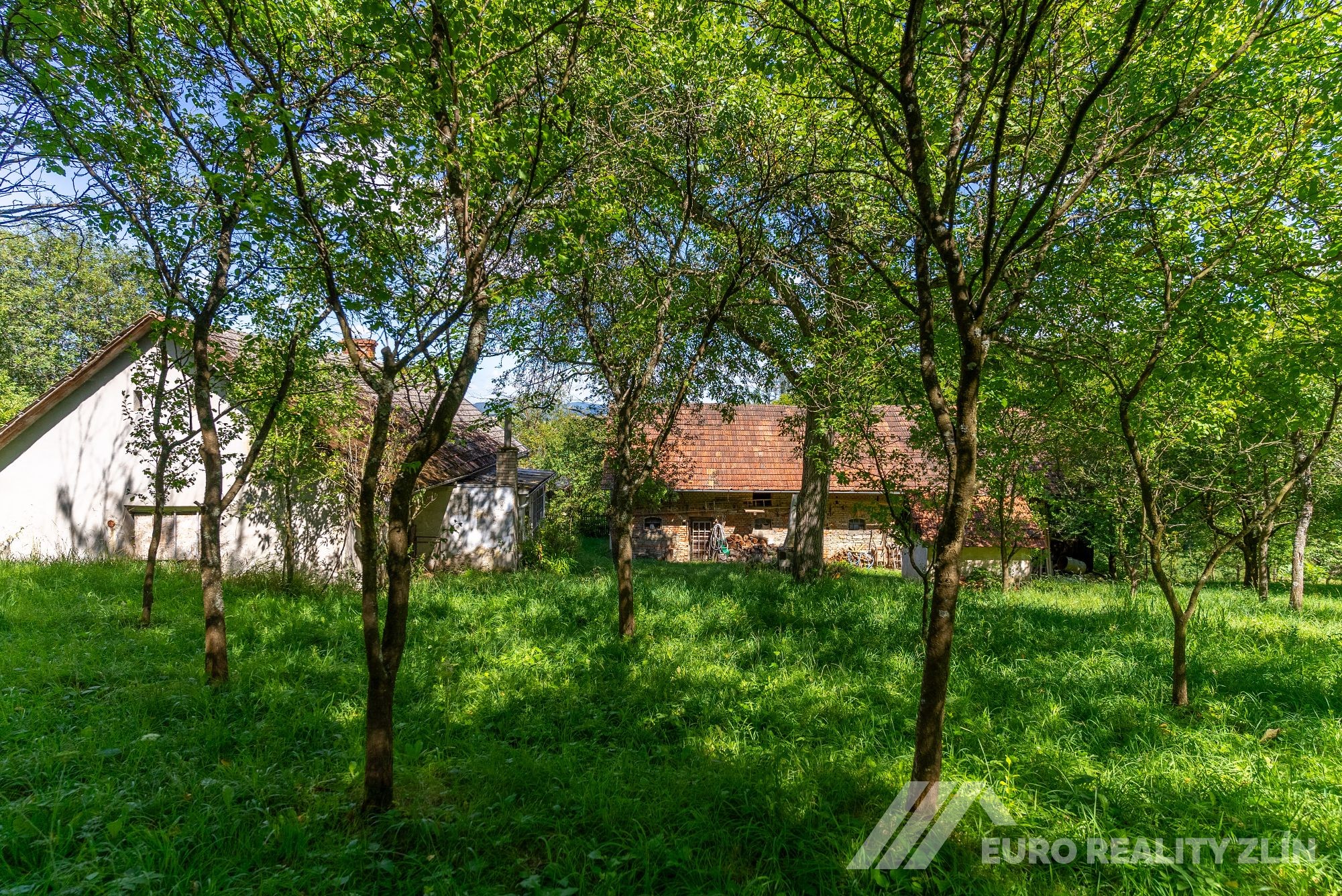 Usedlost Lipské Paseky, lesy a pozemky přes 70.000m2