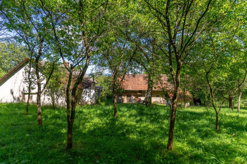 Usedlost Lipské Paseky, lesy a pozemky přes 70.000m2