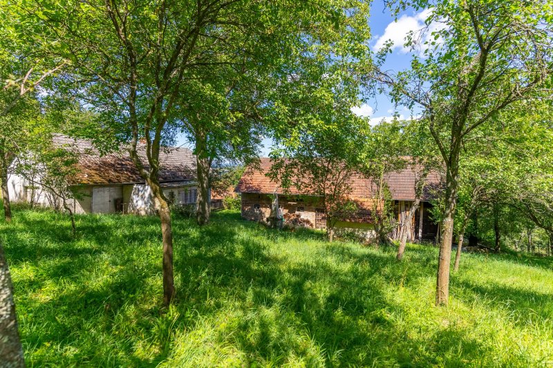 Usedlost Lipské Paseky, lesy a pozemky přes 70.000m2