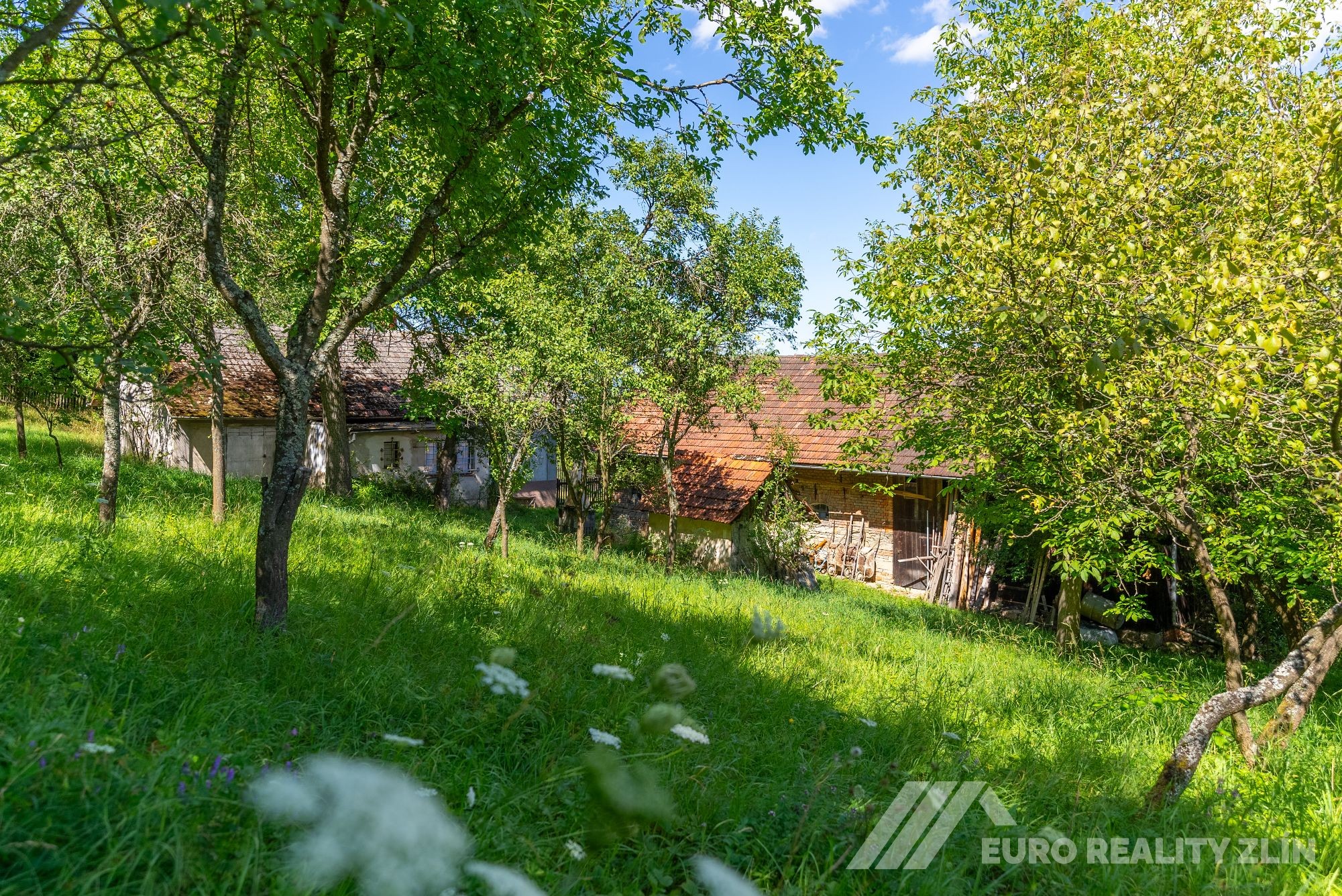 Usedlost Lipské Paseky, lesy a pozemky přes 70.000m2