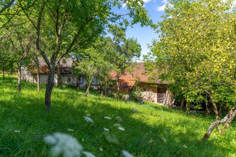 Usedlost Lipské Paseky, lesy a pozemky přes 70.000m2