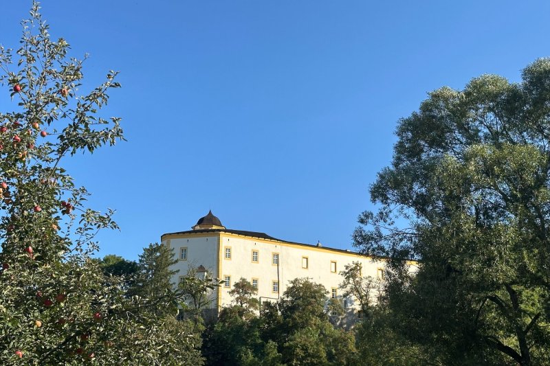 2+KK NOVOSTAVBA MALENOVICE SE ZAHRÁDKOU, ZAŘÍZENÝ,  PARKING