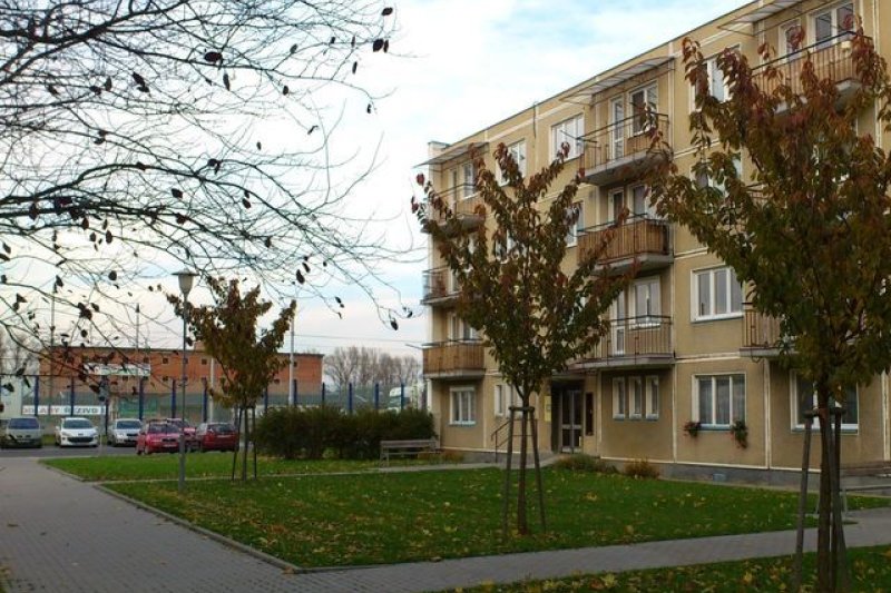 1+ 1 Malenovice, Husova 